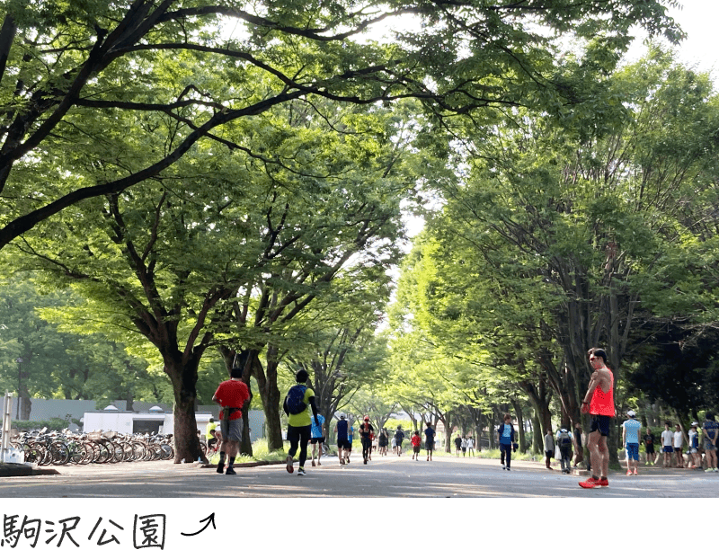 image:駒沢公園